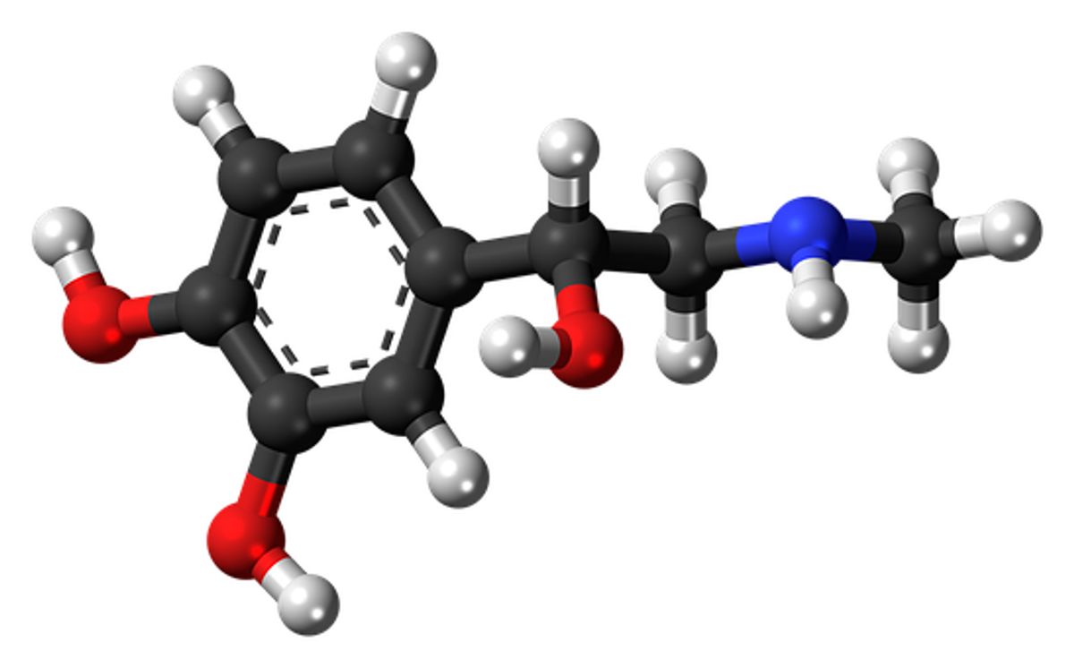 Power Of Hormones Review