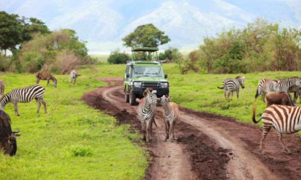 Micato Safaris Reviews