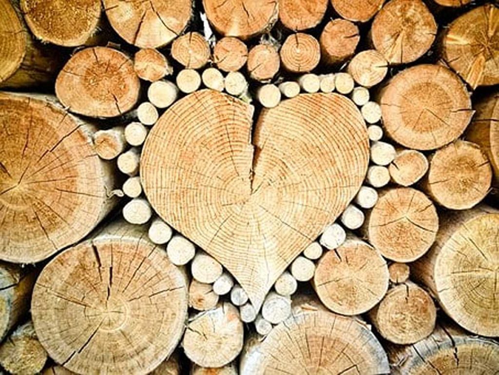 what is deforestation