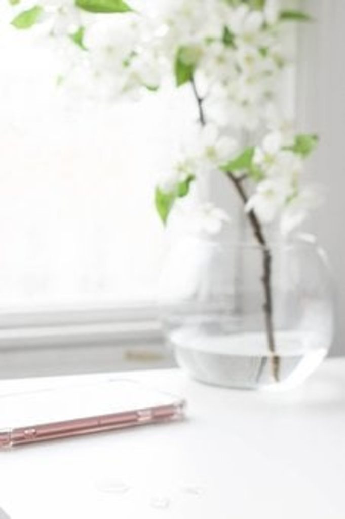 low maintenance indoor plants