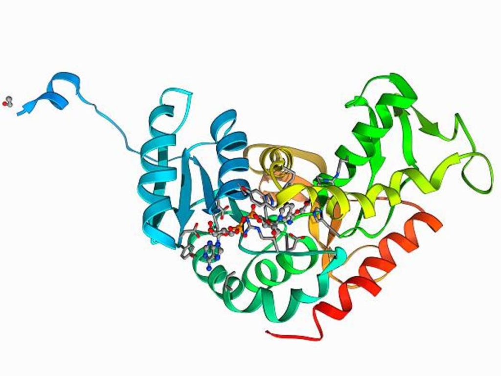 what is glycolysis