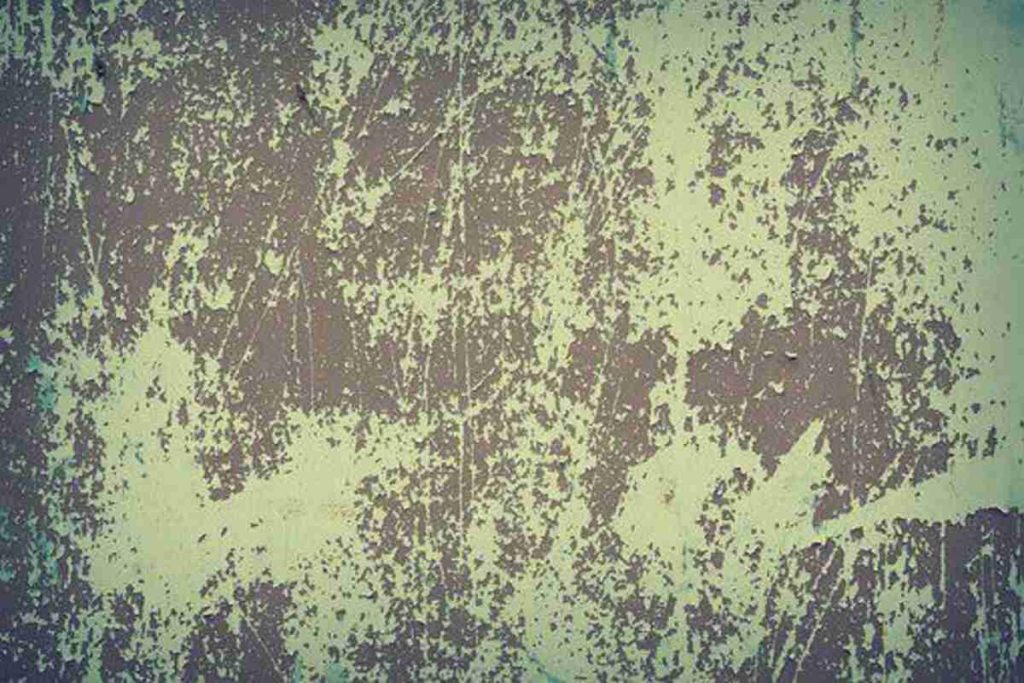 how to clean mold off walls