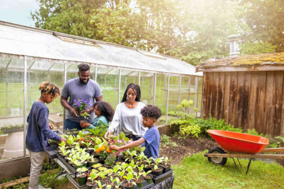 Butterfly Garden Kit From GrowWild