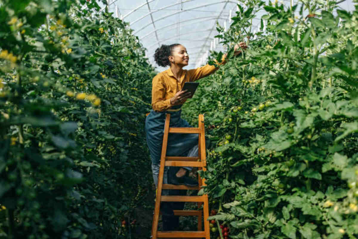 Break Ground in a Garden