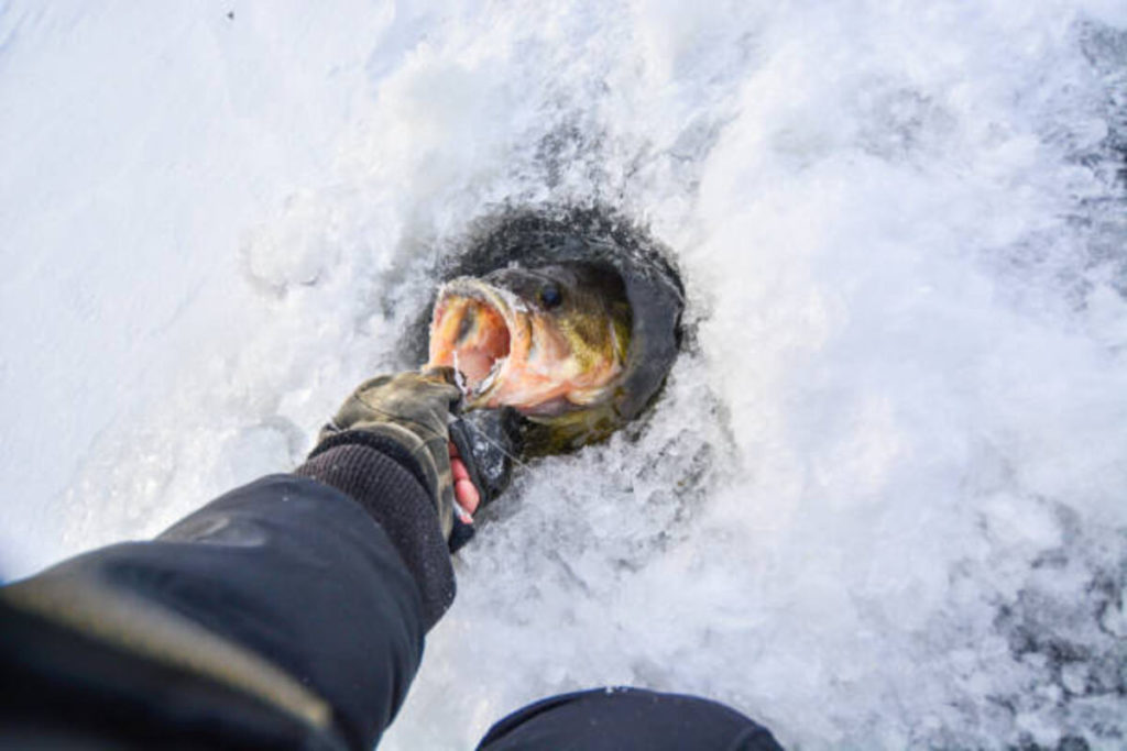 Ice Fishing Rod Holder