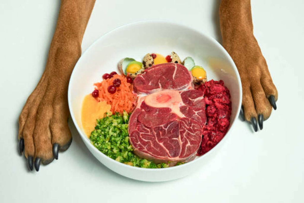 Ultimates Dog Food Review