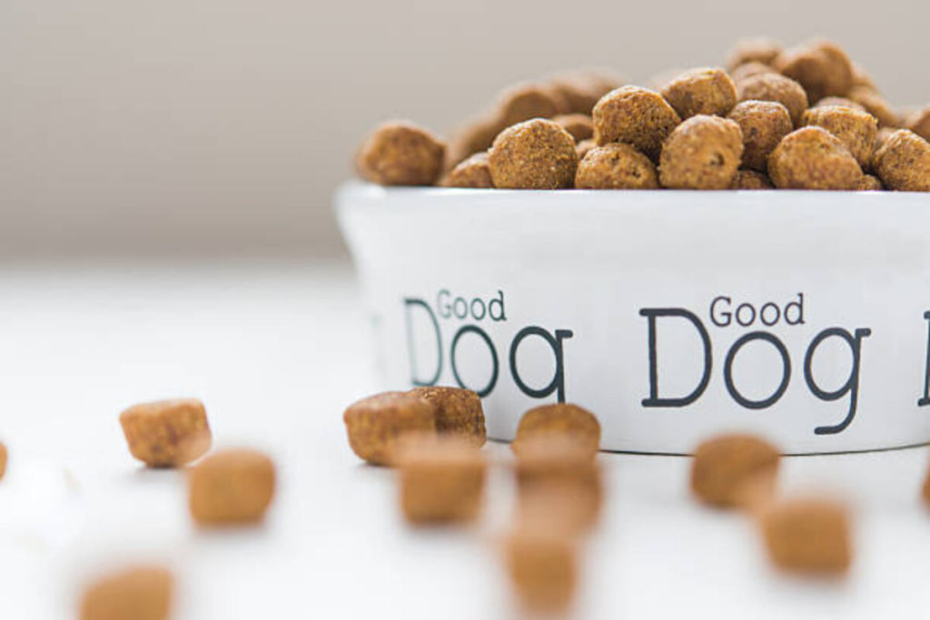 The Pride Dog Food Review
