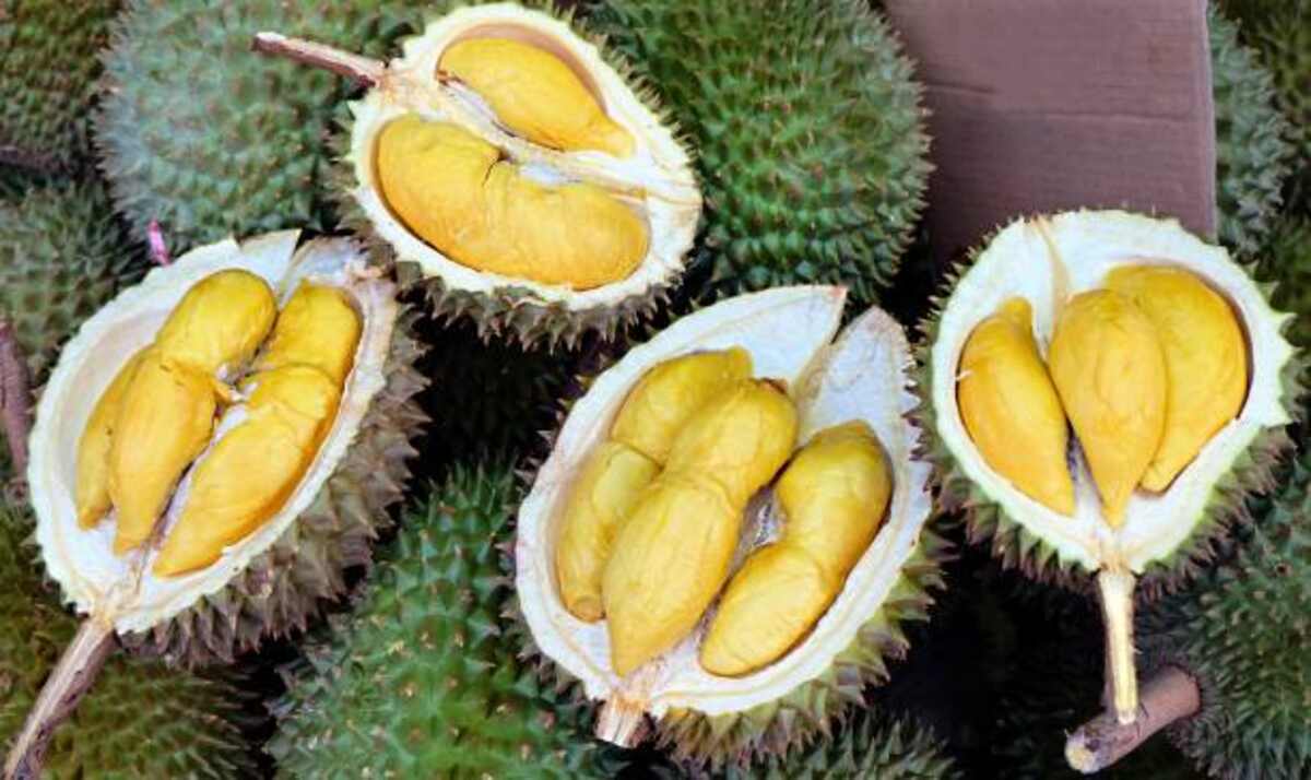 What is Durian Fruit in Tamil