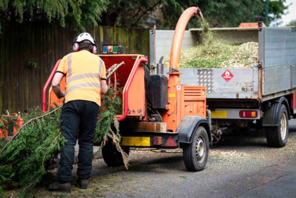 tree service Pleasanton