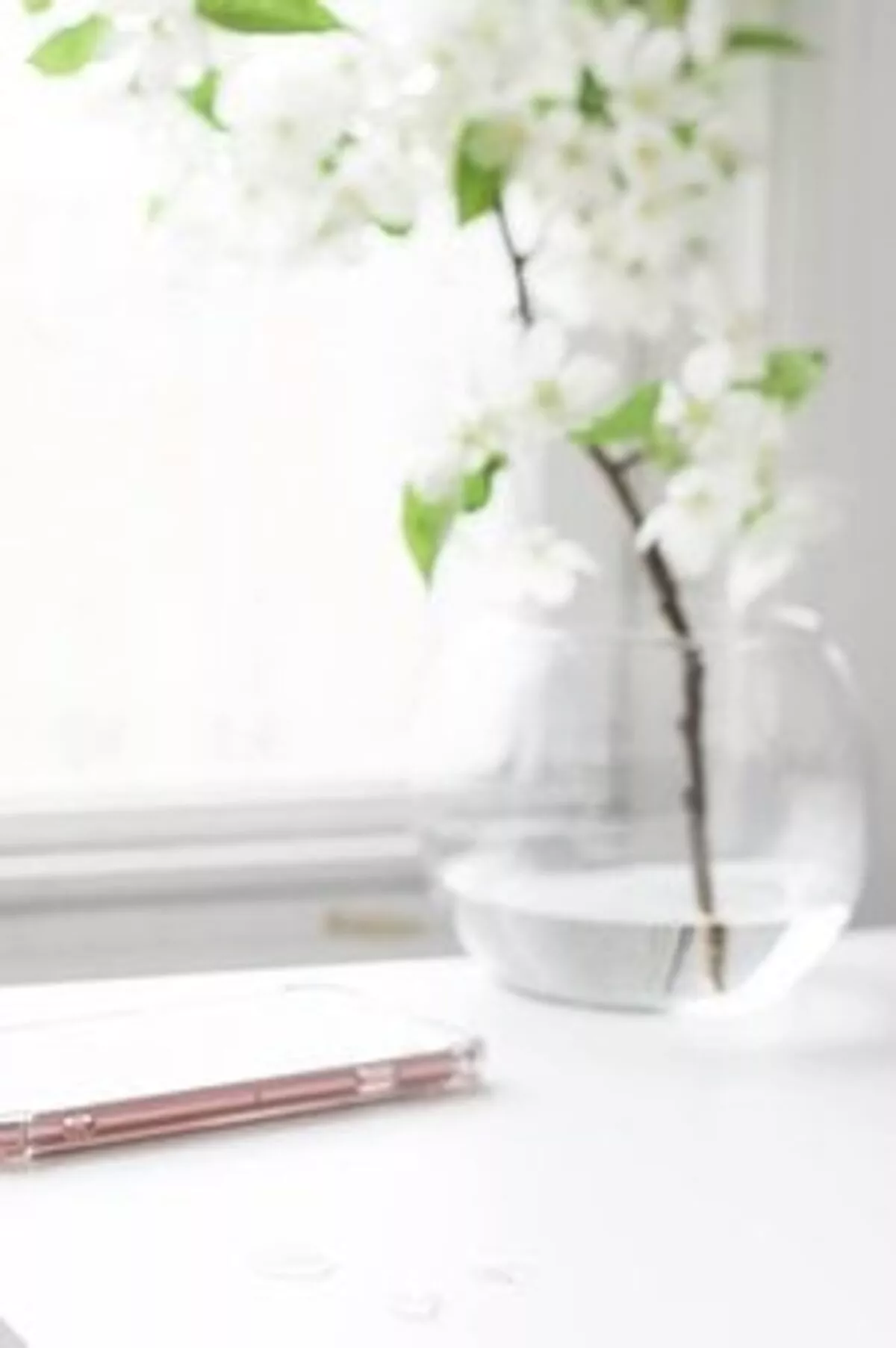 Low Maintenance Indoor Plants