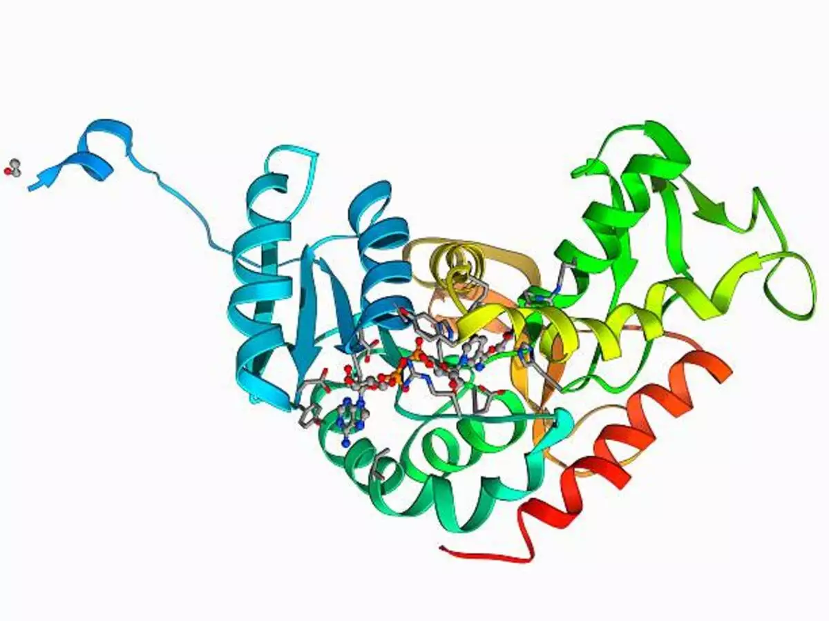 what is glycolysis