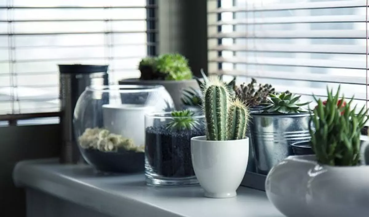 Almont Homes Reviews