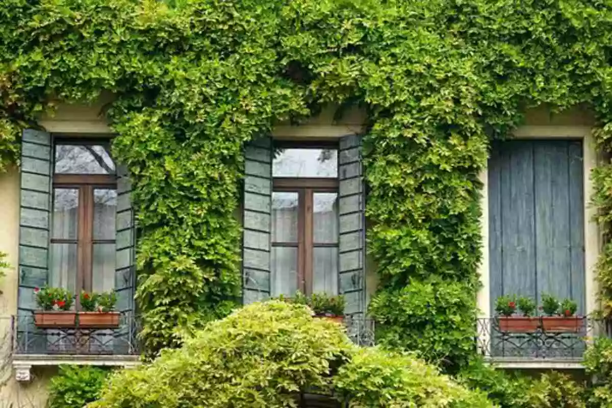 Altura Homes Reviews – Townhomes and Single-Family Homes