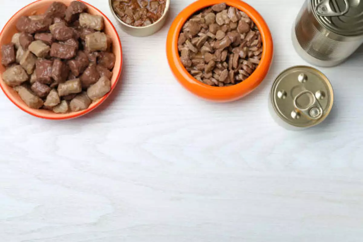 Open Nature Dog Food Review