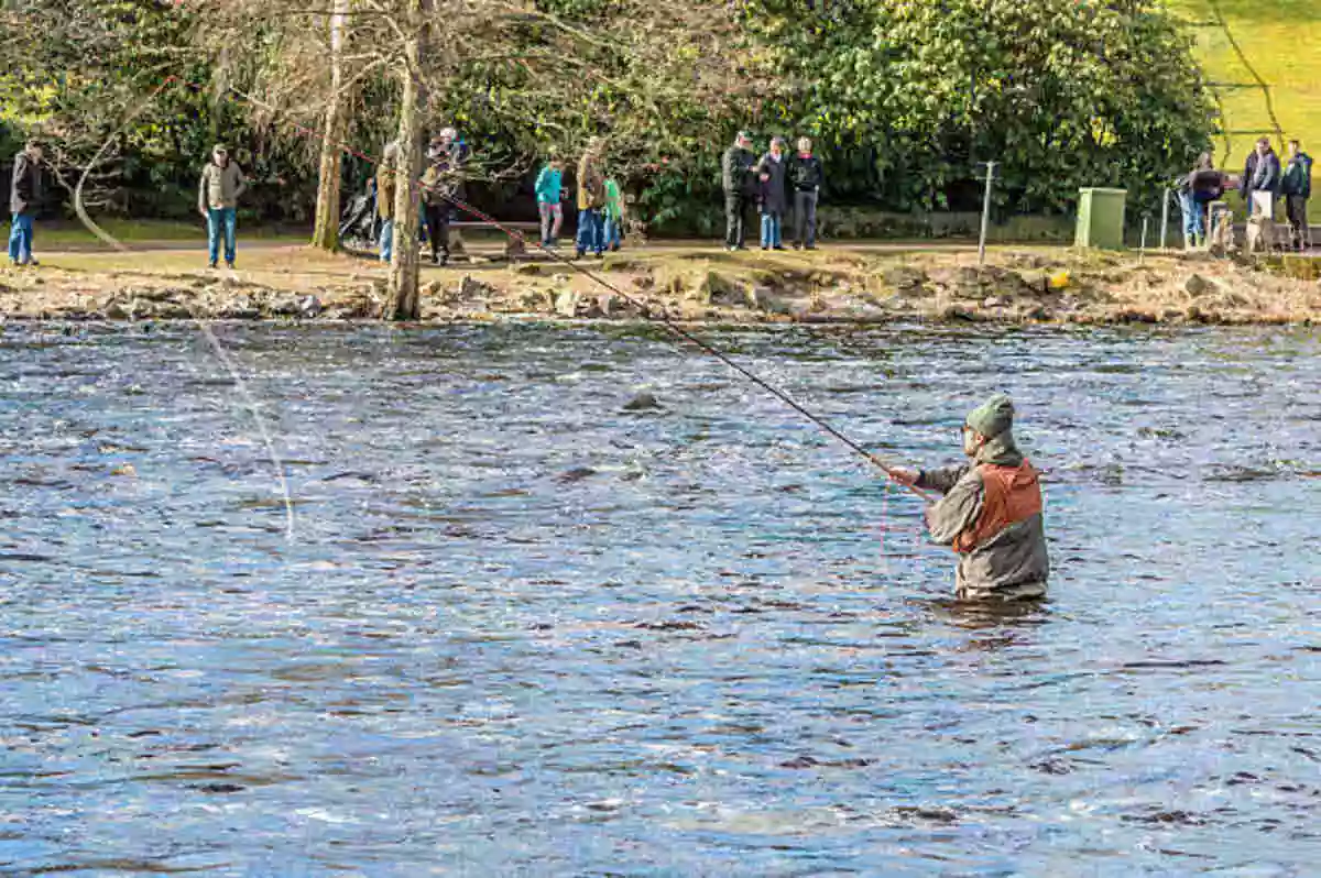 World of Warcraft Fishing Pools