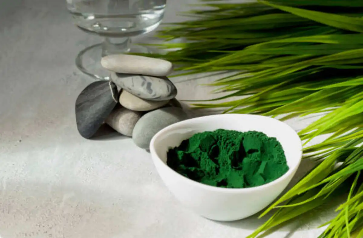 How to Incorporate Seafoam Green in Fashion