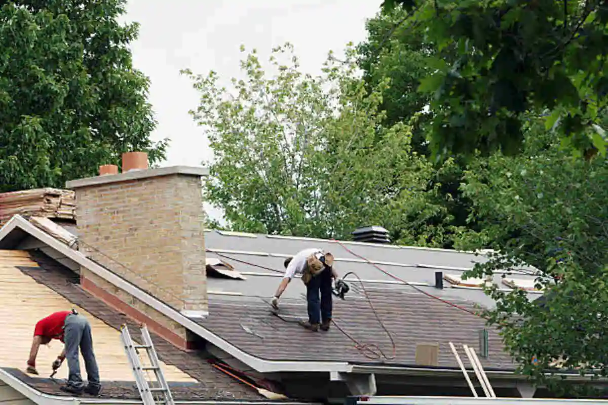 Towards Sustainable Roofing Solutions in Tampa